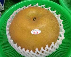豊水と新高から生まれた新品種！埼玉県限定生産のジャンボ梨「彩玉（さいぎょく）」を食べてみた