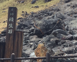 犬と那須旅行記 その5：有毒ガスが噴出する殺生石のまわりを散策してきた